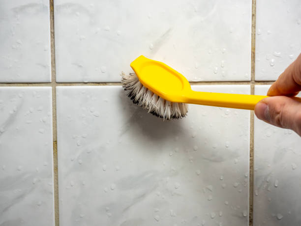 Best Commercial Mold Remediation in Hamshire, TX