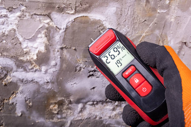 Best Post-Remediation Services in Hamshire, TX