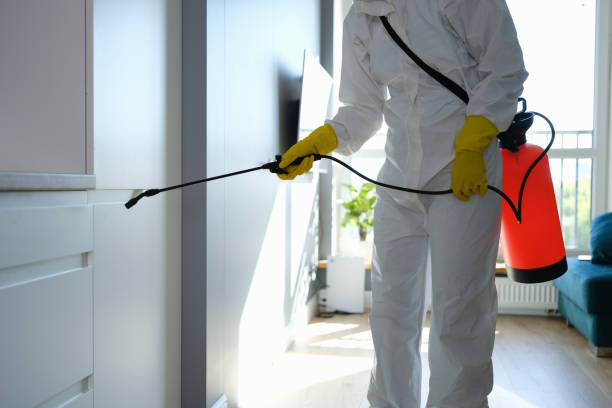 Best Mold Remediation for Specific Building Types in Hamshire, TX