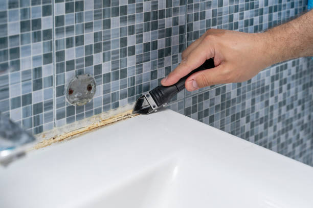 Reliable Hamshire, TX Mold Remediation Solutions